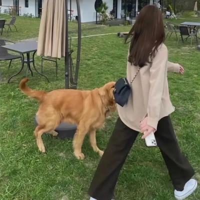 谁是他老爸